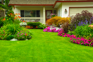 Home Remodeling and Landscaping